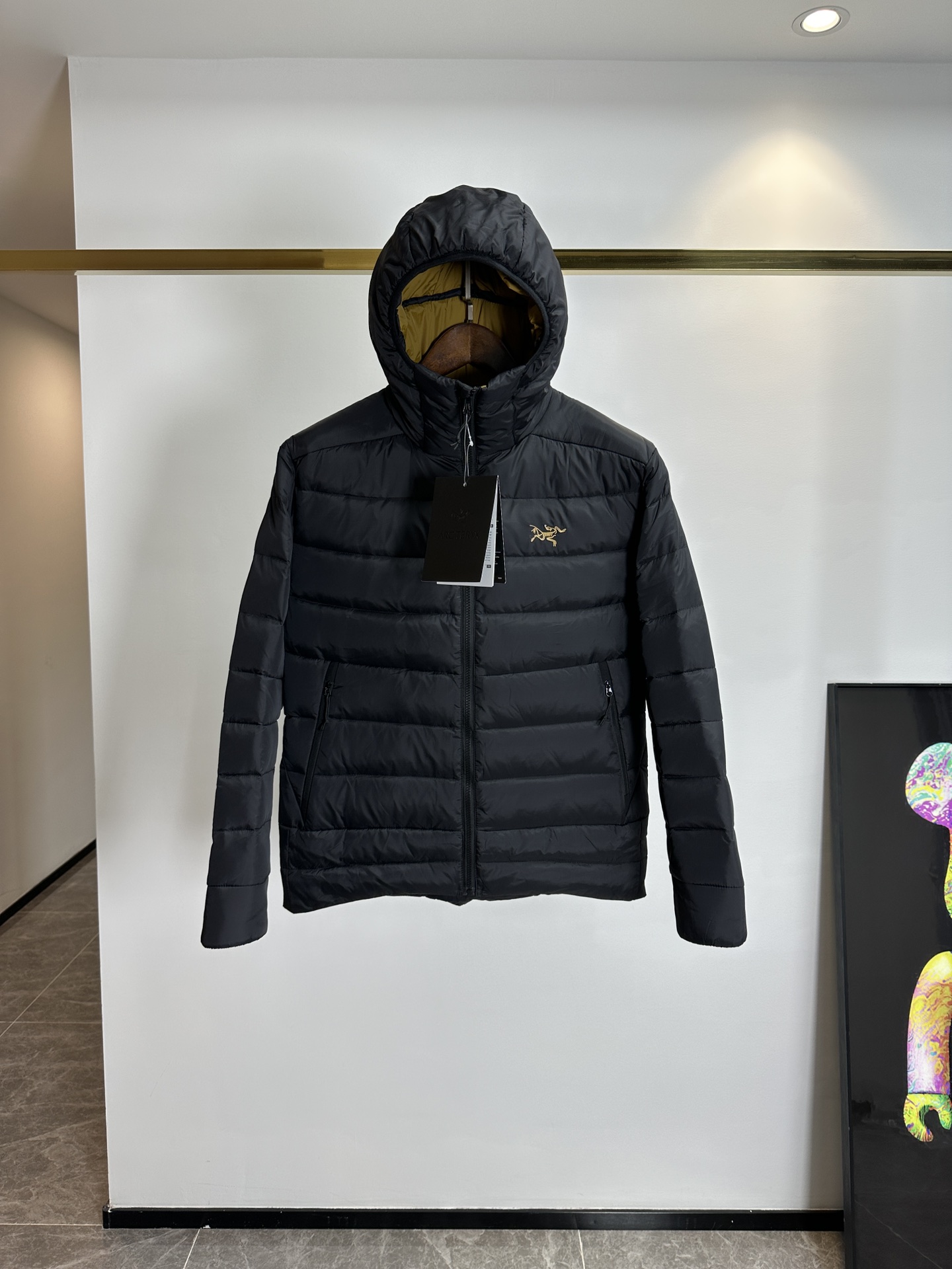 Arcteryx Down Jackets